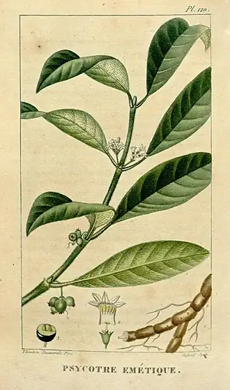 Description de cette image, également commentée ci-après