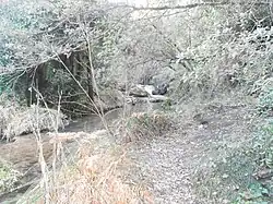 La rivière au niveau de l'abbaye de Florièyes