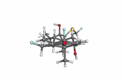 Image illustrative de l’article Fluticasone