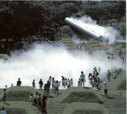 Foggy Forest, parc mémorial Shōwa, Tachikawa.