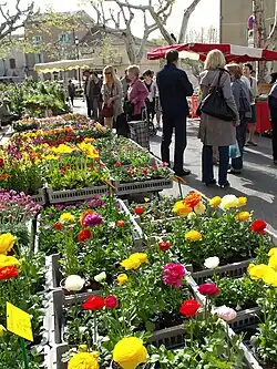 Foire aux fleurs