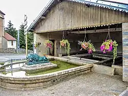 Fontaine-lavoir-abreuvoir au lion.