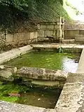 Fontaine et lavoir Saint-Vivien.