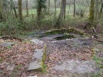 Bonne fontaine de La Mazaurie à Cussac.