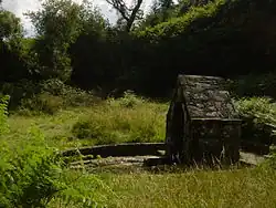 Photographie d'une fontaine en pierre au milieu de la végétation.