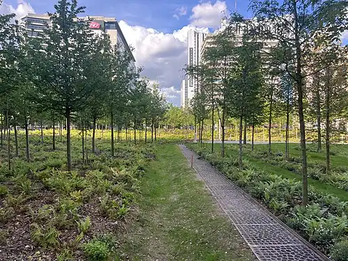 Forêt urbaine de la place de Catalogne en 2024.