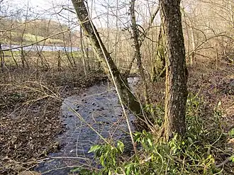 Image illustrative de l’article Forêt de Bonnevaux