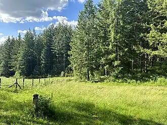 Image illustrative de l’article Forêt de Châteauneuf-la-Forêt