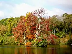 Couleurs d'automne sur l'île de l'étang Neuf, le deuxième étang depuis le château de la Reine Blanche.