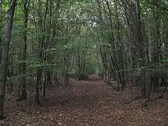 Description de cette image, également commentée ci-après