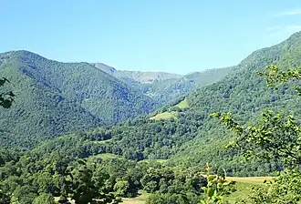 Image illustrative de l’article Forêt de Très Crouts