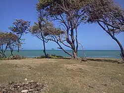 Forêt sèche de littoral.