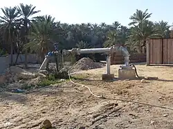 Motopompe de forage, palmiers et cours d'eau.