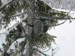 Dissimulée dans un sapin au bord de la route, la mine antichar suédoise Bofors Frdm 14 génère un noyau capable de perforer 60&nbsp;mm d'acier à blindage à une distance de 30&nbsp;m.