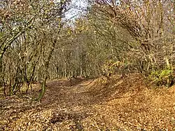 Județ de Mureș (Roumanie) en 2016