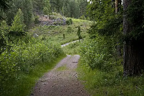 Sentier menant au lac Hältingträsk.
