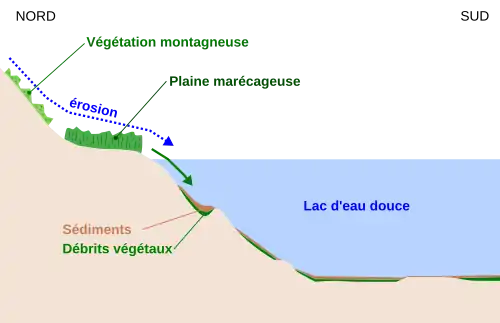 Schémas montrant comment l'érosion amène les débris végétaux dans un lac avant que ceux-ci ne soient recouverts par les sédiments.