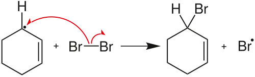Formation du produit final