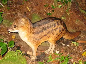 Description de cette image, également commentée ci-après