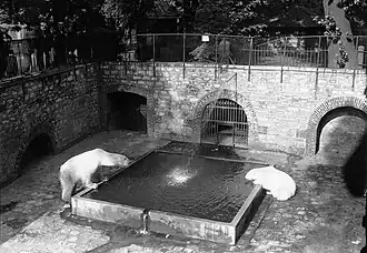 Fosse aux ours blancs (1932).