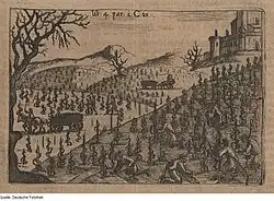 Taille et palissage de la vigne.