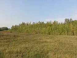 Le terril no&nbsp;260.