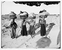 Production maraichère à Battir au début du XXe&nbsp;siècle.