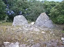 Dolmen de Bassegat