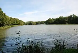 L'étang du bois du Landais en 2008.