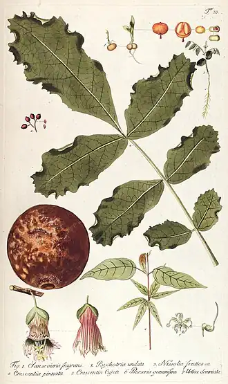 Description de cette image, également commentée ci-après