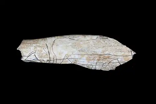 Cheval et auroch gravés,diaphyse d'os