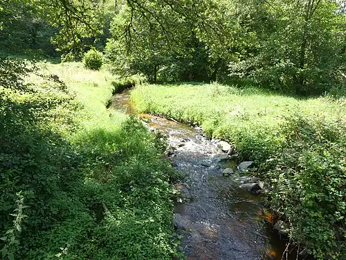 Le ruisseau de Fragne au lieu-dit le Moulin de la Roche.