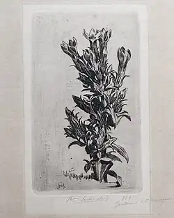 Gentiane d’Allemagne, septembre 1916 (Eau-forte ; Inv. Kunel nº 348 ; 17,5&nbsp;×&nbsp;11,5&nbsp;cm), Collection privée