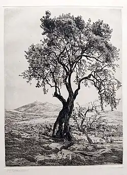 L'olivier, 1904 (Eau-forte ; 39,8&nbsp;×&nbsp;29,7&nbsp;cm), Liège, Musée de La Boverie