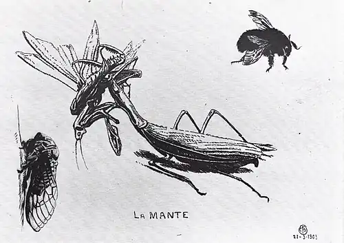 La mante religieuse, 1923 (Eau-forte ; 15&nbsp;×&nbsp;19,7&nbsp;cm), Liège, Musée de La Boverie