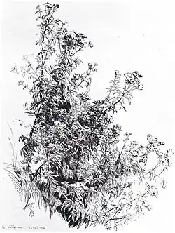 Les eupatoires, 1906 (Eau-forte et pointe sèche ; 39,8&nbsp;×&nbsp;29,8&nbsp;cm), Liège, Musée de La Boverie