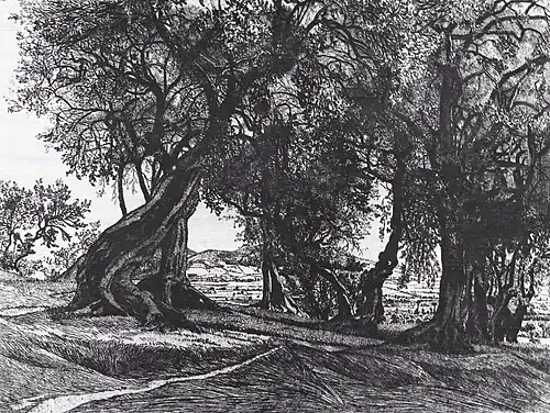 Regresso (les oliviers), 1904 (Eau-forte ; 29,5&nbsp;×&nbsp;39,7&nbsp;cm), Liège, Musée de La Boverie