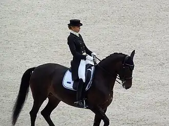 Image illustrative de l’article Dina Ellermann