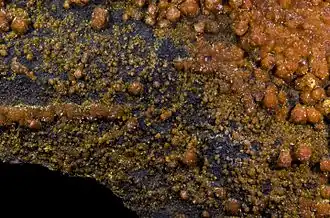 Image illustrative de l’article Mounanaïte