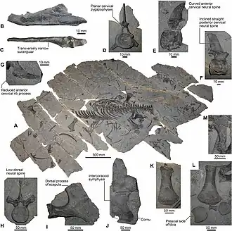 Description de cette image, également commentée ci-après