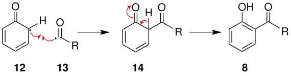 Réarrangement en position ortho.