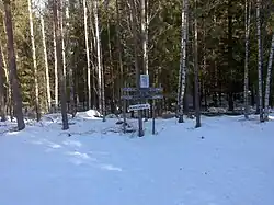 De Taivalpirtti à Kaukajärvi.