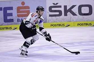 Photographie couleur de Cvetek