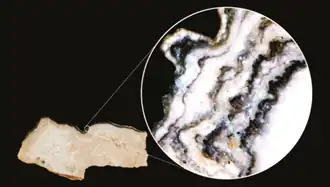 Un fragment de paroi résolu au microscope, montrant la succession de films de suies et de concrétions calcaires visibles sur une tranche mince étudiée pour la datation