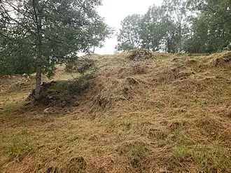 Image illustrative de l’article Château de Génat