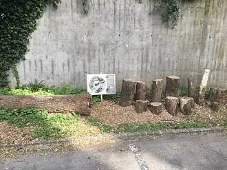 Gîtes à lucane cerf-volant