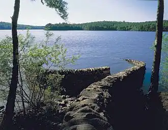 Andy Goldsworthy Vassivière