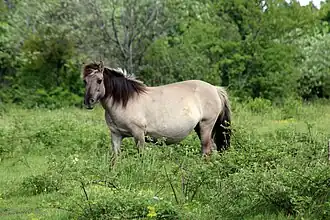 Sentier « des vignes aux lièvres » à Gy.