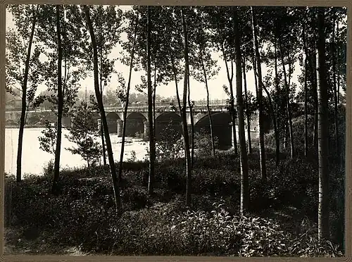 Forêt riparienne et pont sur le Pô à Moncalieri, province de Turin, photographiés en mai 1930.