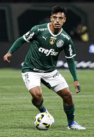 Image illustrative de l’article Gabriel Menino